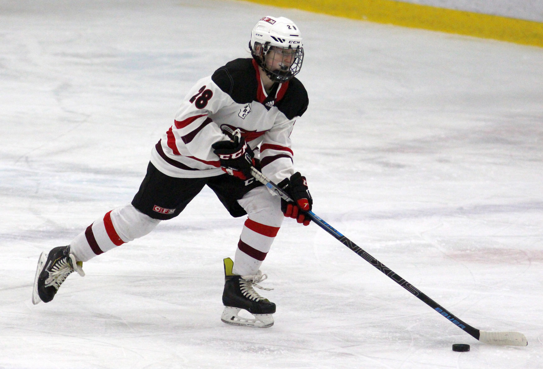 Hayward at Chippewa Falls/Menomonie girls hockey 2-20-20